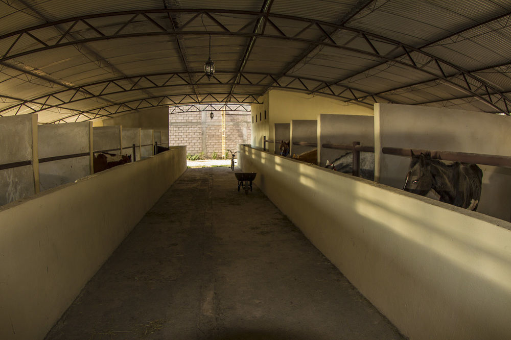 ホテル Teoticamp San Juan Teotihuacán エクステリア 写真